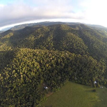 The Jungle Stays Millaa Millaa Εξωτερικό φωτογραφία